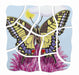 Beleduc Life Cycle Wooden Numbered Puzzle - Butterfly 4yrs+ - My Playroom 