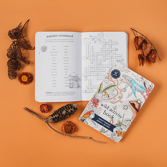 Wild Activity Book Nature Inspired Games and Puzzles (Paperback) Interactive Book Stationary Art and craft for kids Gifting Ideas 7yrs+ kids book