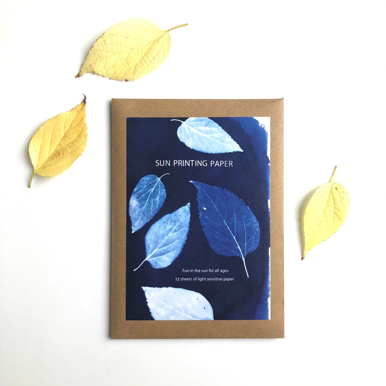 Sun Printing Paper — My Playroom