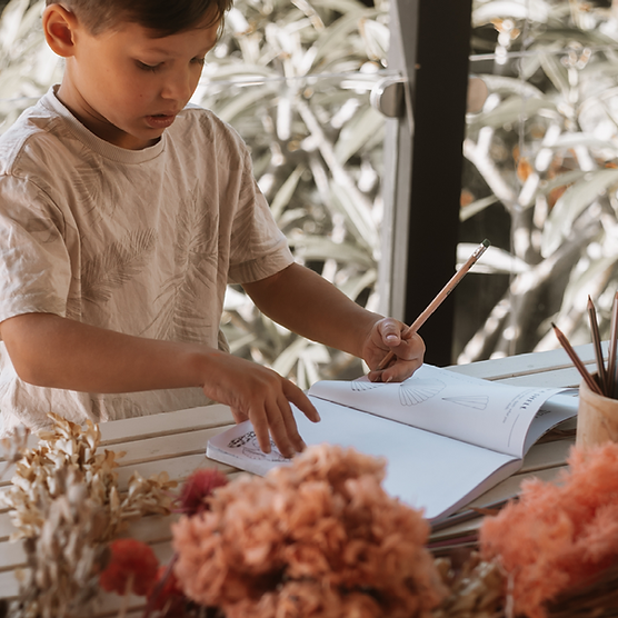 Wild Activity Book Nature Inspired Games and Puzzles (Paperback) Interactive Book Stationary Art and craft for kids Gifting Ideas 7yrs+ kids book