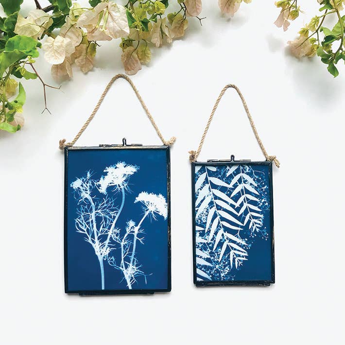 Mini Framed Original Cyanotype Collection 13 x 18cm Assorted