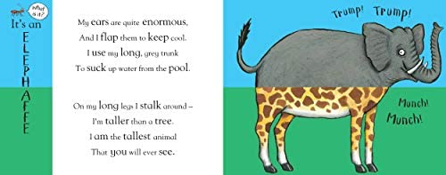 Flip Flap Safari Book by Axel Scheffler (Hardcover): Animals Safari Kids Interactive Book