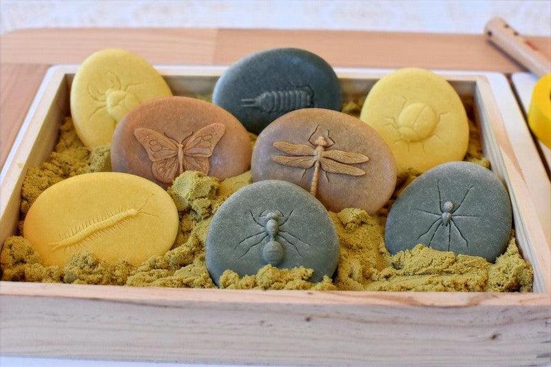 Yellow Door Explore Bugs Set of 8 Sensory Stone 2yrs+ - My Playroom 