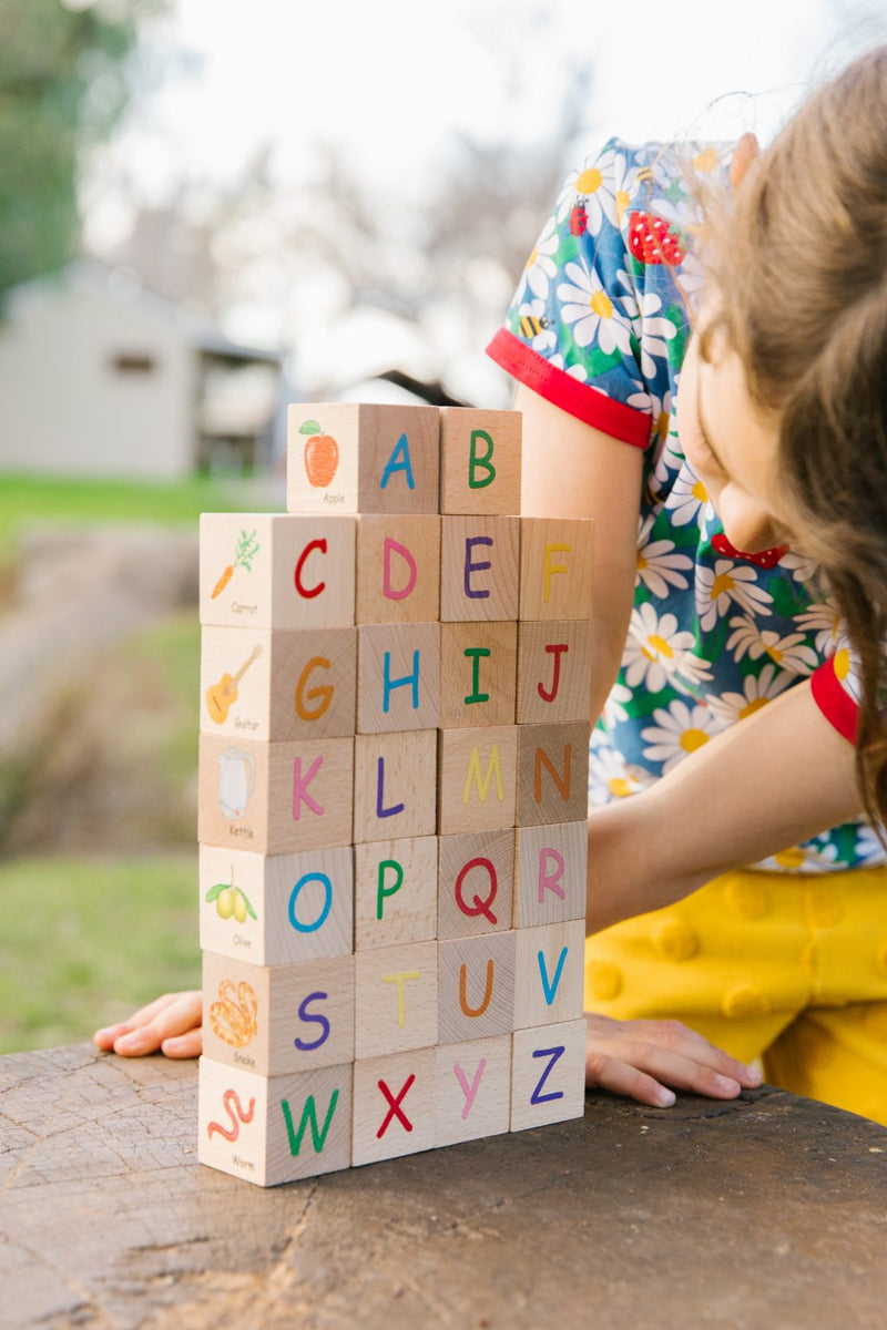 The Freckled Frog ABC Blocks Best Seller Early Literacy Phonics Cognitive Language 12m+