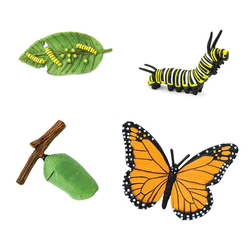 Life Cycle of a Butterfly (Monarch) Montessori Language Animal Figurines Collection by Safari Ltd Early Science STEM Butterfly Toys 4yrs+