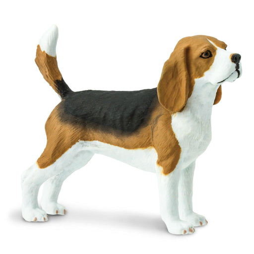 Safari Ltd Beagle Figurine - My Playroom 