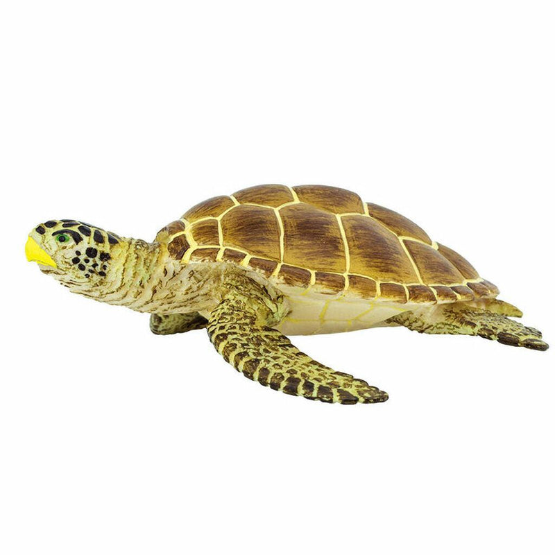 Loggerhead Turtle Ccean Figurine - My Playroom 