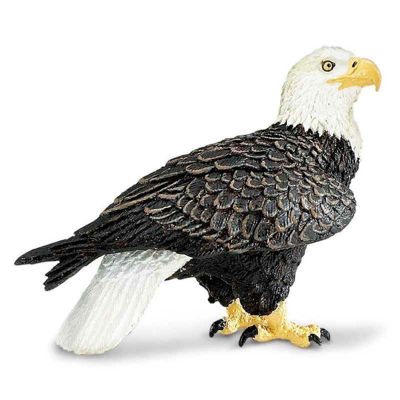 Safari Ltd Bald Eagle Figurine - My Playroom 
