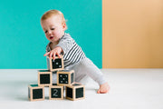 The Freckled Frog Fun with Chalk! Wooden Cubes Set 12m+ - My Playroom 