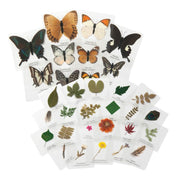 Knowledge Builder Laminated Feathers & Plants - My Playroom 