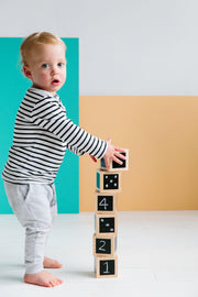 The Freckled Frog Fun with Chalk! Wooden Cubes Set 12m+ - My Playroom 