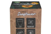 Grow Your Own Giant Sunflower 5+ - My Playroom 