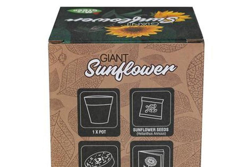 Grow Your Own Giant Sunflower 5+ - My Playroom 