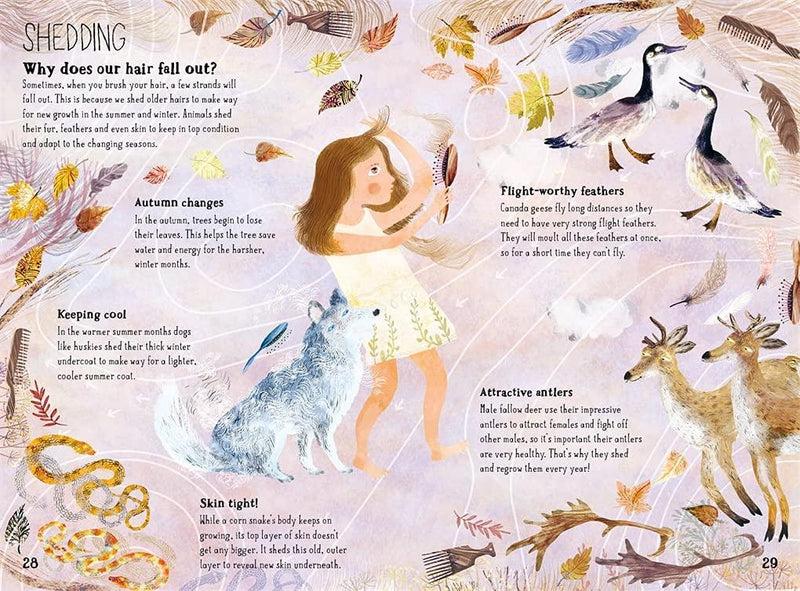 The Big Book of Belonging (Hardcover) - My Playroom 