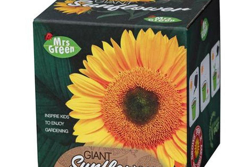 Grow Your Own Giant Sunflower 5+ - My Playroom 