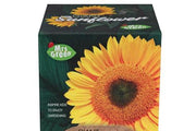 Grow Your Own Giant Sunflower 5+ - My Playroom 