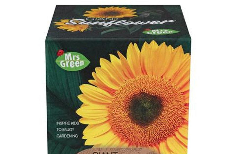 Grow Your Own Giant Sunflower 5+ - My Playroom 