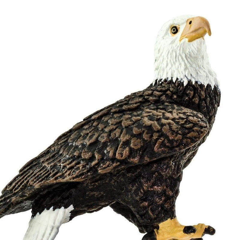 Safari Ltd Bald Eagle Figurine - My Playroom 
