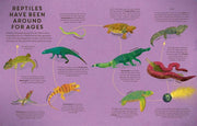 There are Reptiles Everywhere (Hardcover) - My Playroom 