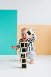 The Freckled Frog Fun with Chalk! Wooden Cubes Set 12m+ - My Playroom 