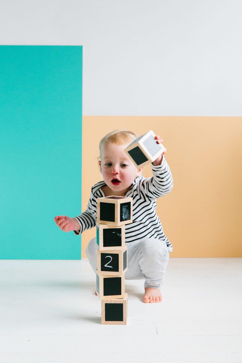 The Freckled Frog Fun with Chalk! Wooden Cubes Set 12m+ - My Playroom 
