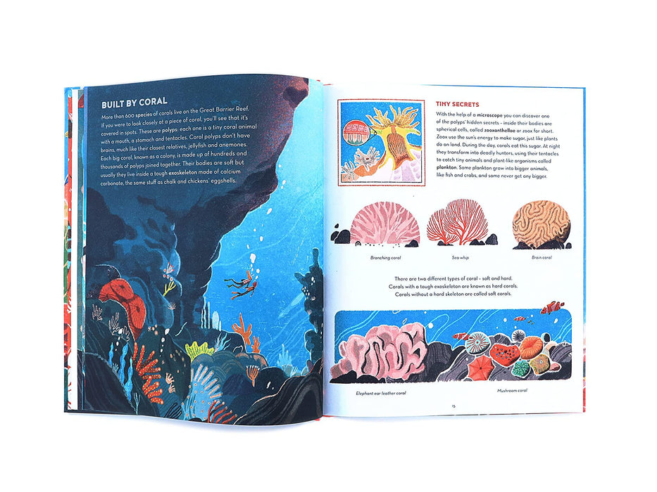 The Great Barrier Reef (Hardcover) - My Playroom 