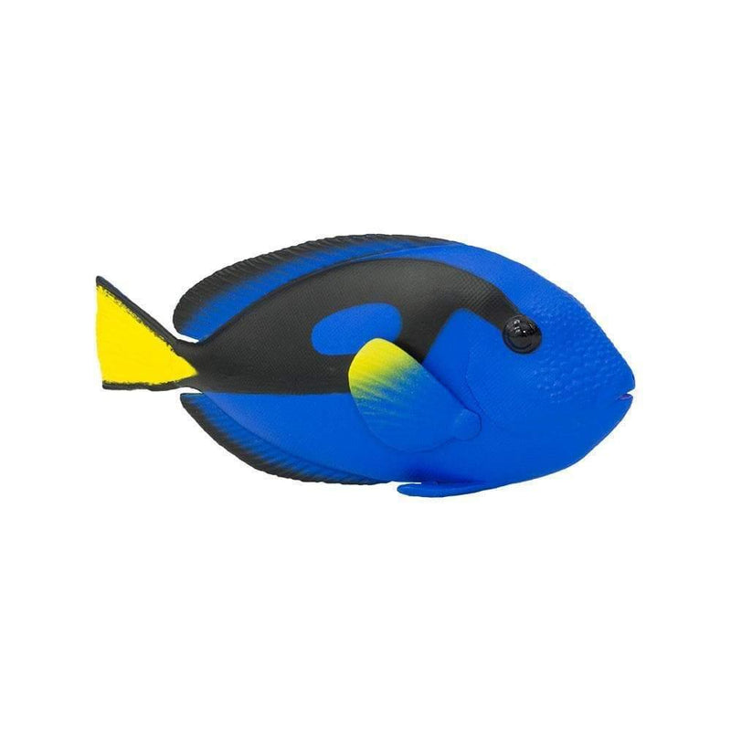 Safari Ltd Blue Tang Figurine - My Playroom 