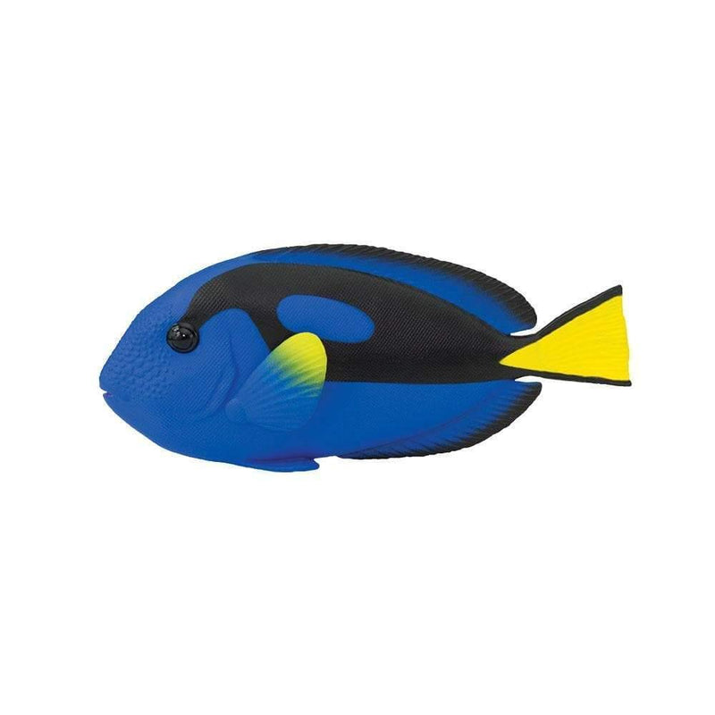 Safari Ltd Blue Tang Figurine - My Playroom 