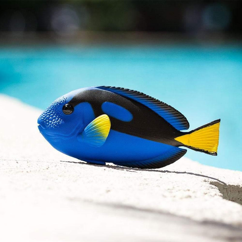 Safari Ltd Blue Tang Figurine - My Playroom 