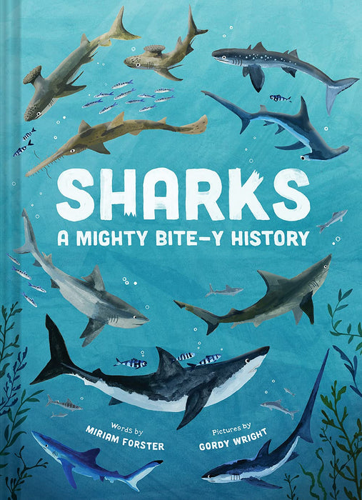 A　My　(Hardcover)　—　Sharks:　History　Bite-y　Mighty　Playroom