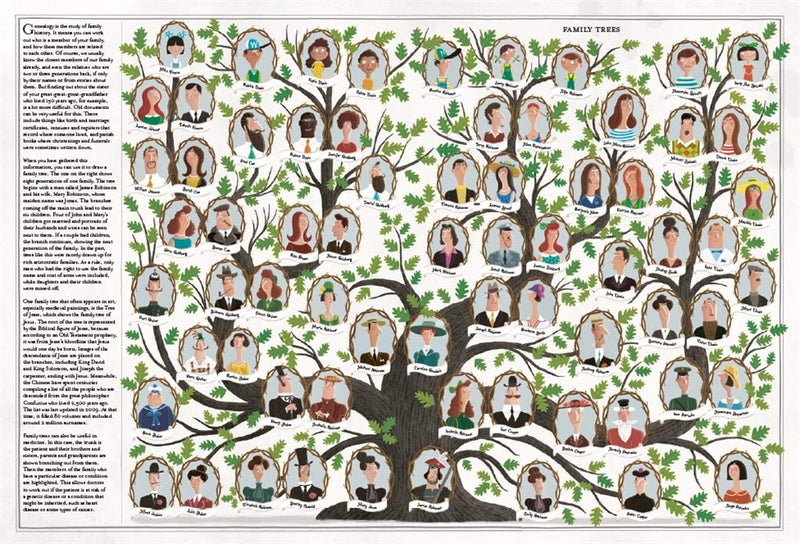 The Book of Trees (Hardcover) by Piotr Socha, Wojciech Grajkowski: Nature Non-fiction Kids Book