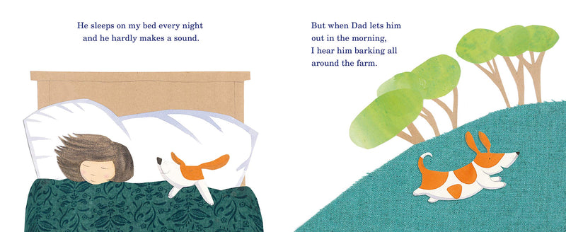 My Dog Bigsy (Board Book) by Alison Lester Kids Picture Book Australian Authors