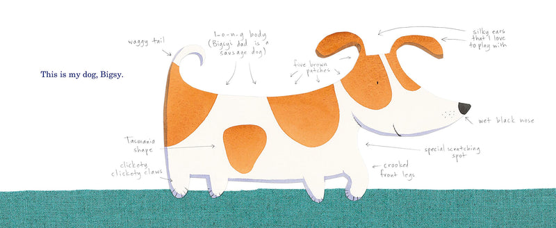 My Dog Bigsy (Board Book) by Alison Lester Kids Picture Book Australian Authors