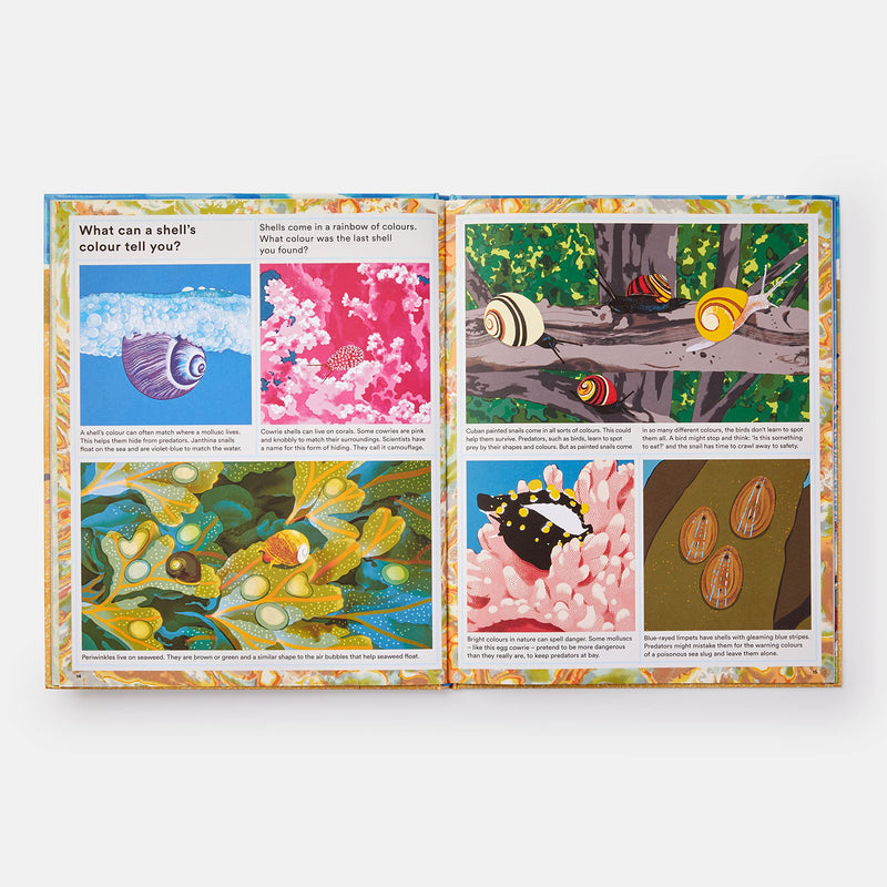 What a Shell Can Tell (Hardcover) by Helen Scales, Sonia Pulido: Ocean Non-fiction Kids Book