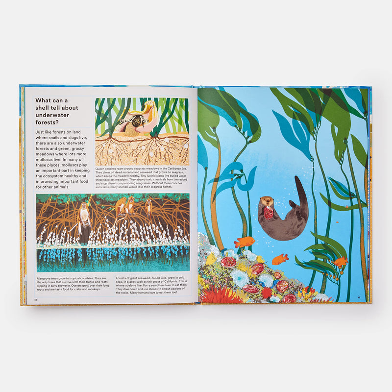 What a Shell Can Tell (Hardcover) by Helen Scales, Sonia Pulido: Ocean Non-fiction Kids Book