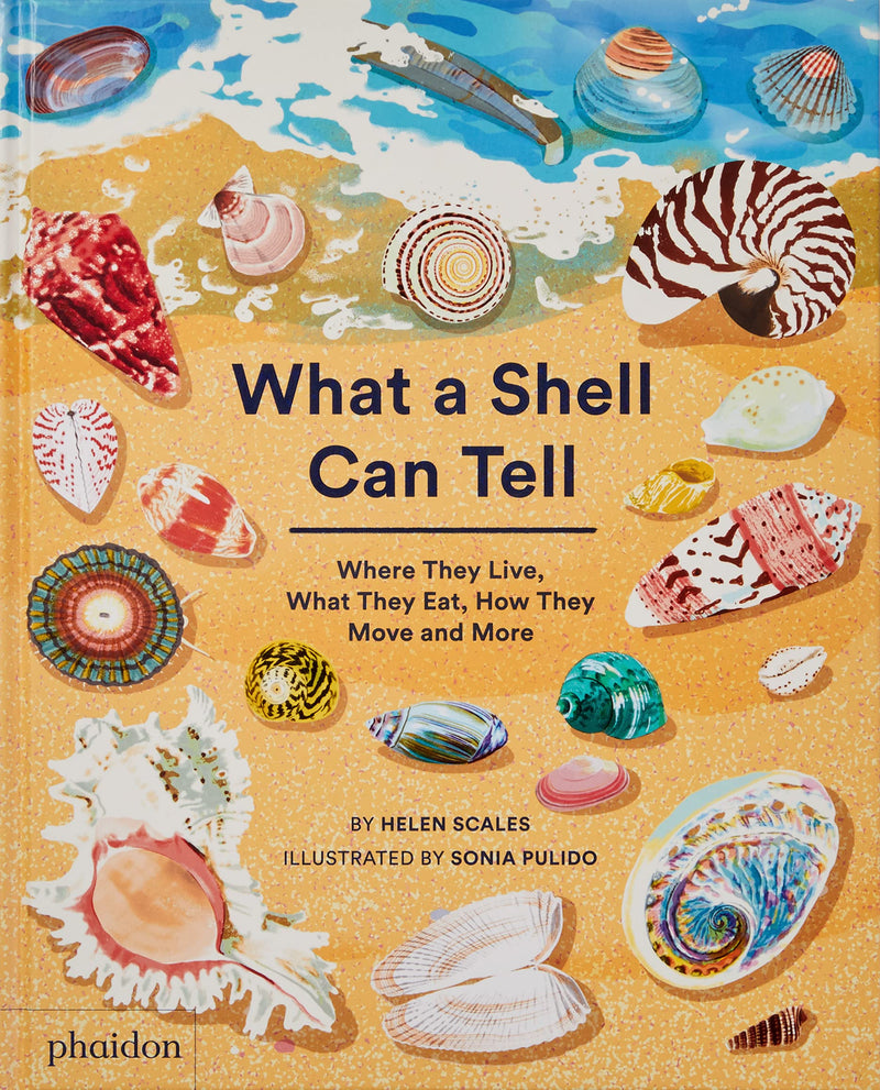 What a Shell Can Tell (Hardcover) by Helen Scales, Sonia Pulido: Ocean Non-fiction Kids Book