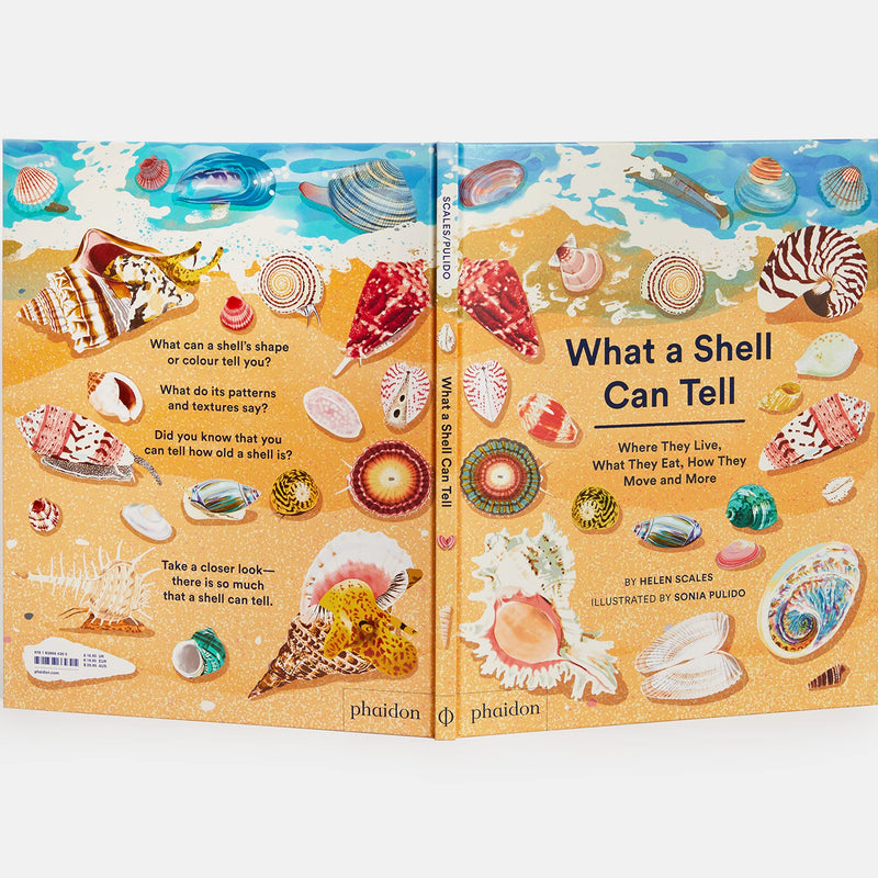 What a Shell Can Tell (Hardcover) by Helen Scales, Sonia Pulido: Ocean Non-fiction Kids Book