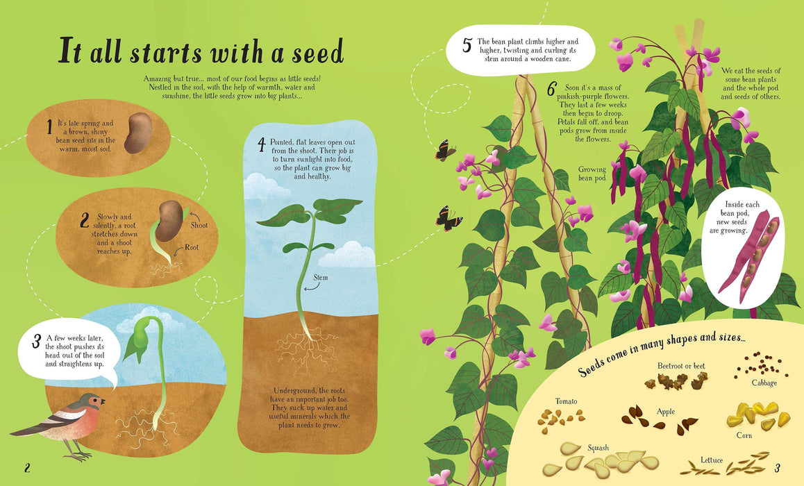 It All Starts with a Seed... (Hardcover)