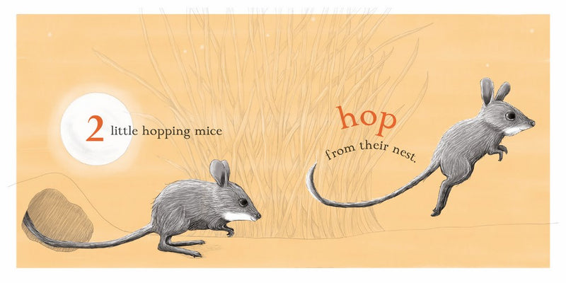 Ten Little Owls (Board Book) by Renee Treml Kids Picture Book Australian Authors