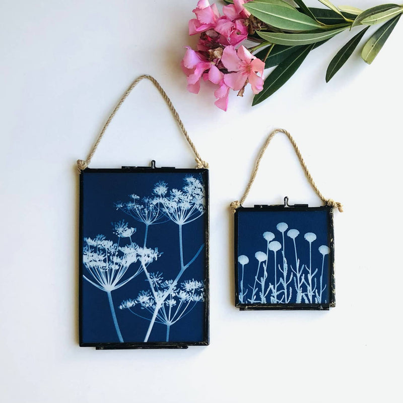 Mini Framed Original Cyanotype Collection 13 x 18cm Assorted