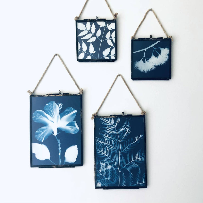 Mini Framed Original Cyanotype Collection 13 x 18cm Assorted