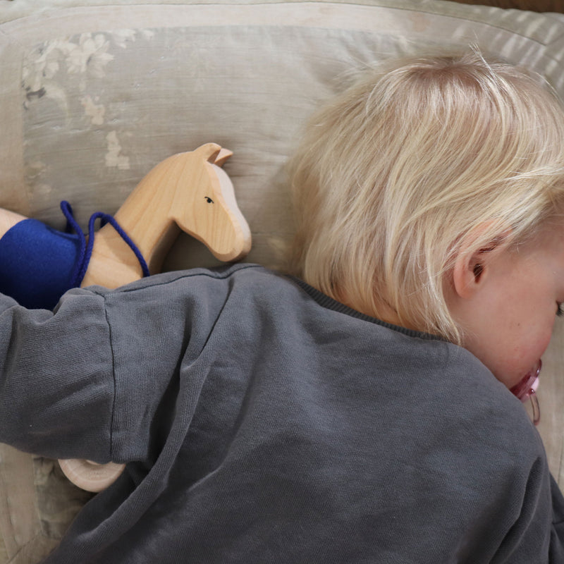 Grimm's Pull Along Horse Holly 12m+