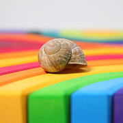 Grimm’s Four Elements Building Set  Large 3yrs+ - My Playroom 