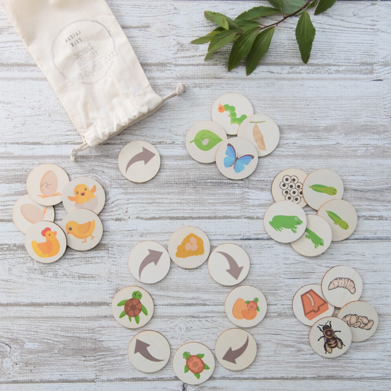 Wooden Life Cycle of a Butterfly Bee Frog Turtle Chicken set by My Little Set Early Science STEM Toys 3yrs+