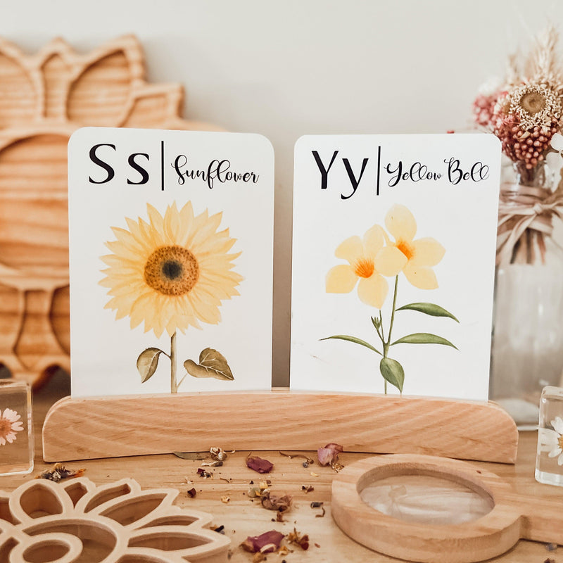 Small Curved Wooden Holder for Language Card, Artwork, Postcard 25cm - My Playroom 