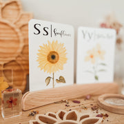 Small Curved Wooden Holder for Language Card, Artwork, Postcard 25cm - My Playroom 