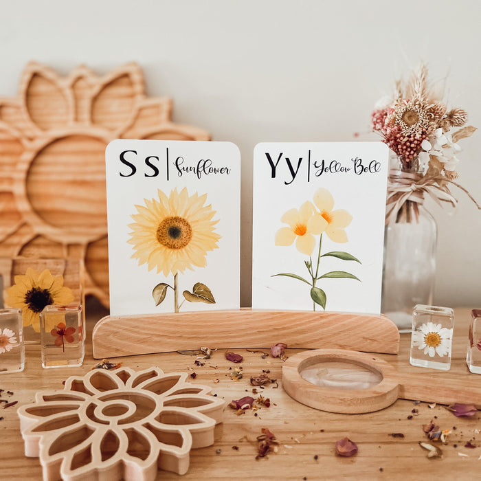 Small Curved Wooden Holder for Language Card, Artwork, Postcard 25cm - My Playroom 