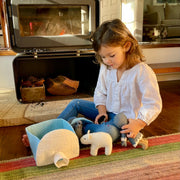 Pashom Arctic Playset 6pcs - My Playroom 