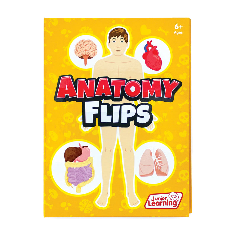 Anatomy Flips Human Body Book By Junior Learning STEM Science STEM Book 6yrs+
