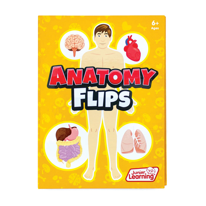 Anatomy Flips 6yrs+